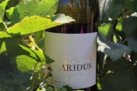 Nightlife Aridus Wine Company in Scottsdale AZ