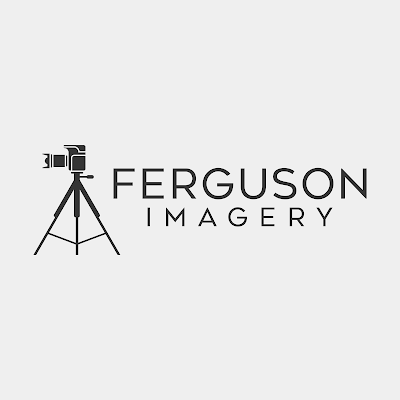 Nightlife Ferguson Imagery - Real Estate Photography in Dunedin FL