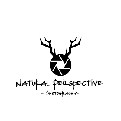 Natural Perspective Digital Media