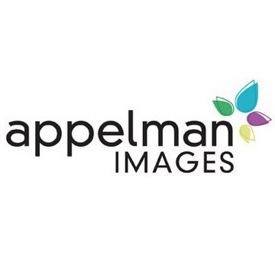 Nightlife Appelman Images Photography in Naperville IL