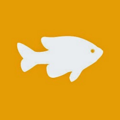 Little Fish Design Company