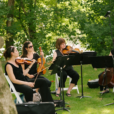 Cherrywood String Quartet and Ensembles, Lancaster, Hershey, York, PA and Beyond