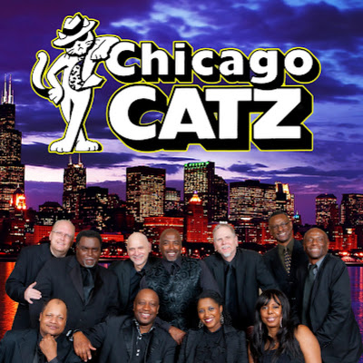 Chicago Catz