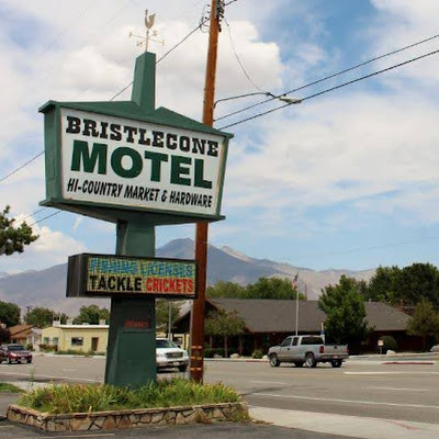 Bristlecone Motel