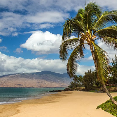 Maui Coast Hotel